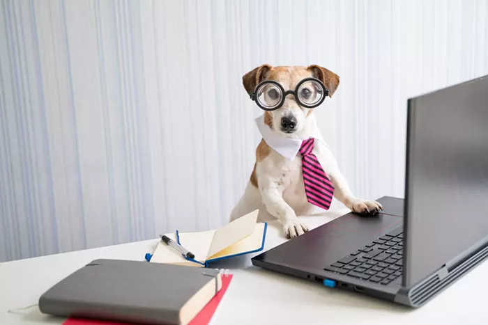 NOW HIRING: EverOut Manager and Mercury Bookkeeper!